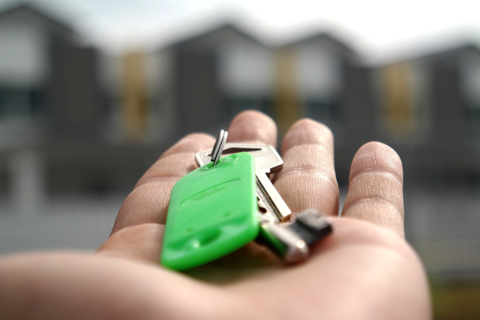 Majority of renters whose tenancies were up for renewal stayed put in March 